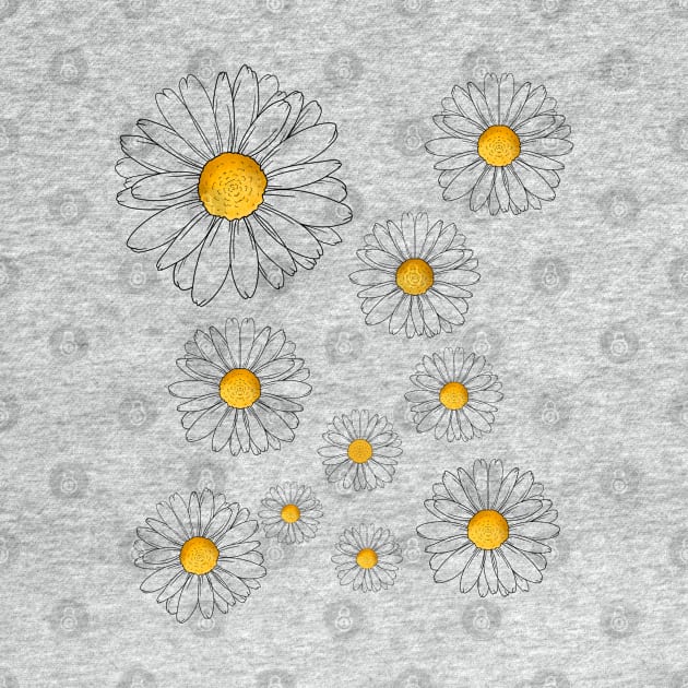 Daisies by Miruna Mares